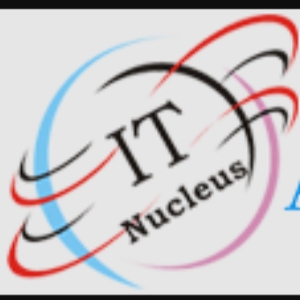 IT Nucleus Ltd